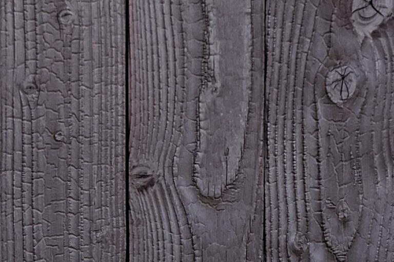 Bardage en bois brûlé Douglas finition écaillé fin aspect structuré Valdi Bois